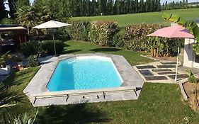 Le chalet sous les arbres